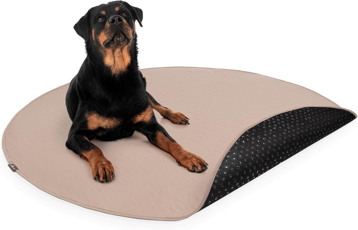 Paw Inspired Round Washable Pee Pad for Dogs | Reusable Puppy Pad for Potty Training, Whelping