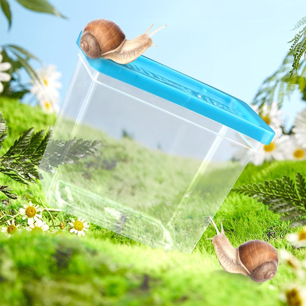 48 Pack Small Plastic Reptile Carrier Tarantula Enclosure Breeding Box Hatching Container for