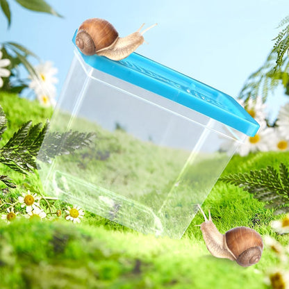 48 Pack Small Plastic Reptile Carrier Tarantula Enclosure Breeding Box Hatching Container for