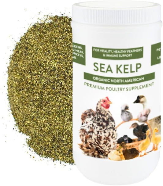 Organic Kelp for Chickens & Duck Feed (1 Pound): Chicken Vitamins | Chicken Supplements | Vitamins