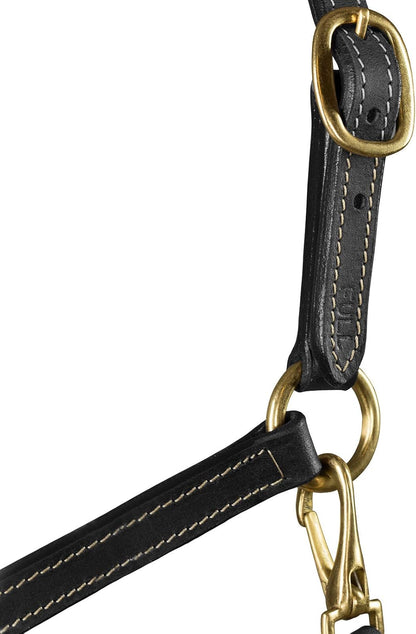 HORZE Fremont Soft Synthetic Leather Horse Halter | Fully Adjustable with Brass Hardware & Contrast