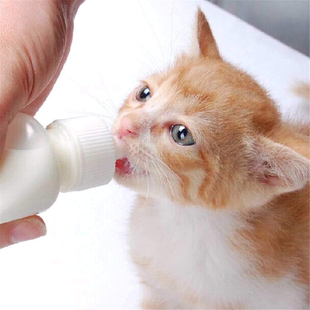 DoubleWood Pet Nursing Bottle Kits Nursing Bottle Kits Replacement Nipple Cat Feeding Bottle for