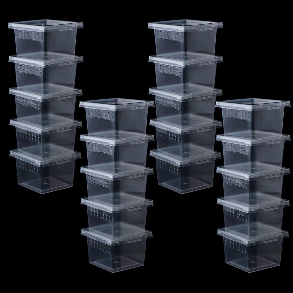 20 Pcs Spider Terrariums Breeding Box Hatching Container Acrylic Feeding Box for Small Reptile