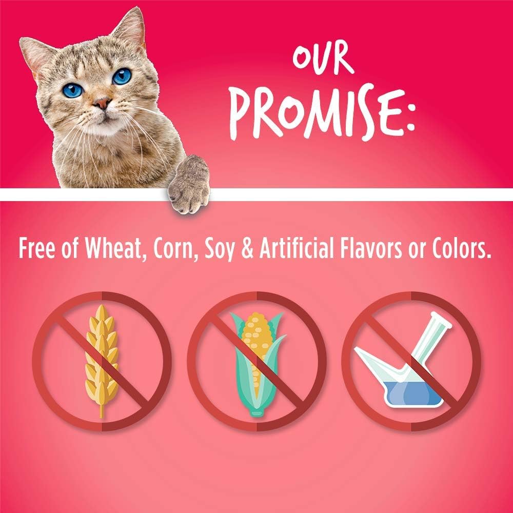 Fruitables Cat Treats Crunchy Salmon & Cranberry Cat Treats Healthy Low Calorie, High Protein