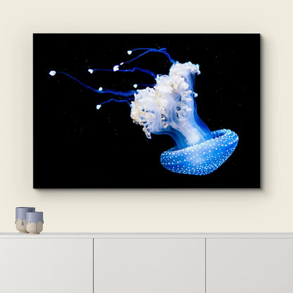 wall26 Canvas Print Wall Art Mystic Fantasy Tropical Blue X-Ray Jellyfish Nature Animals