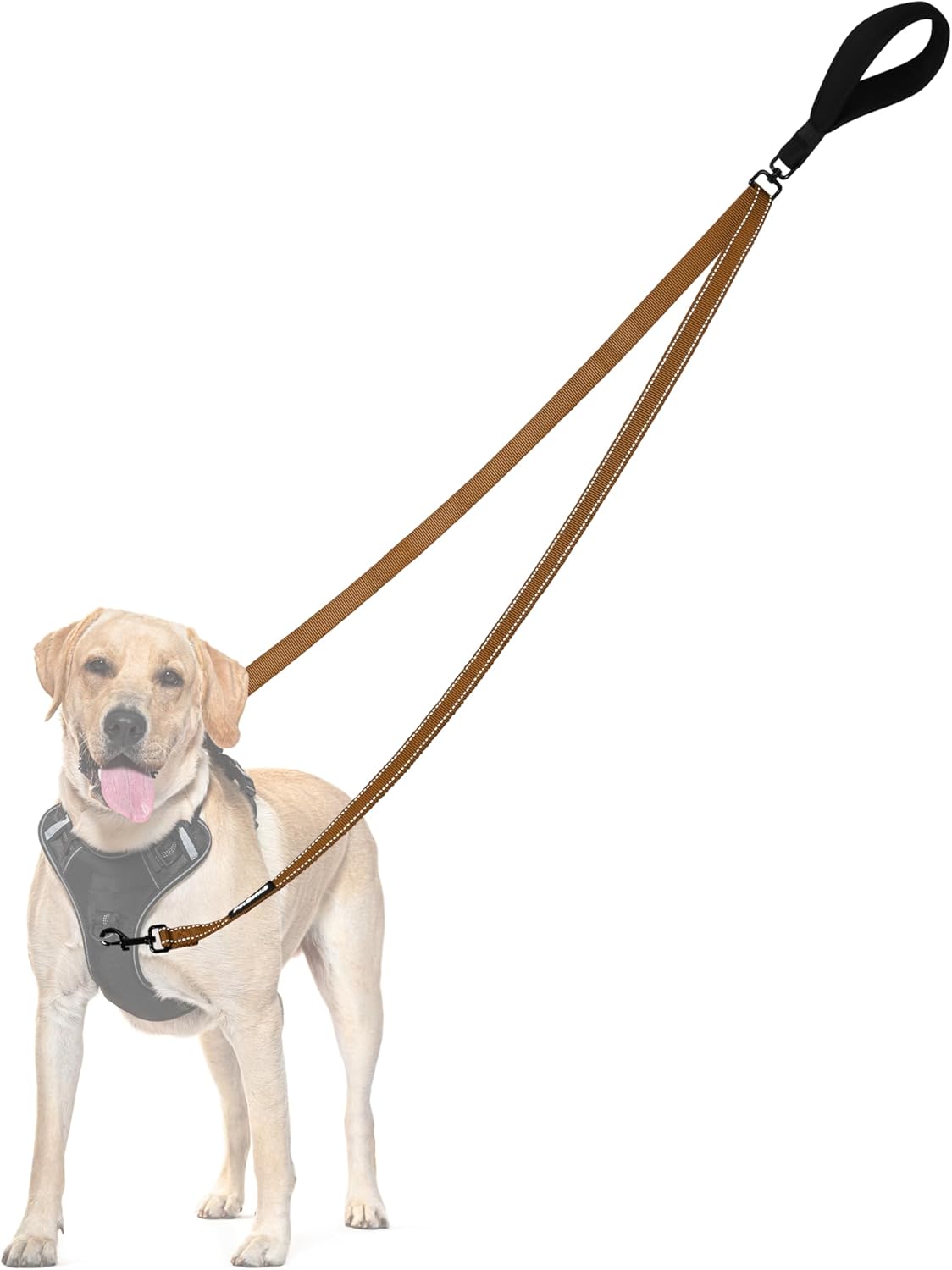 PetBonus Two Point Control Dog Leash, Works with No Pull Harnesses, No Tangle Dog Training Leashes