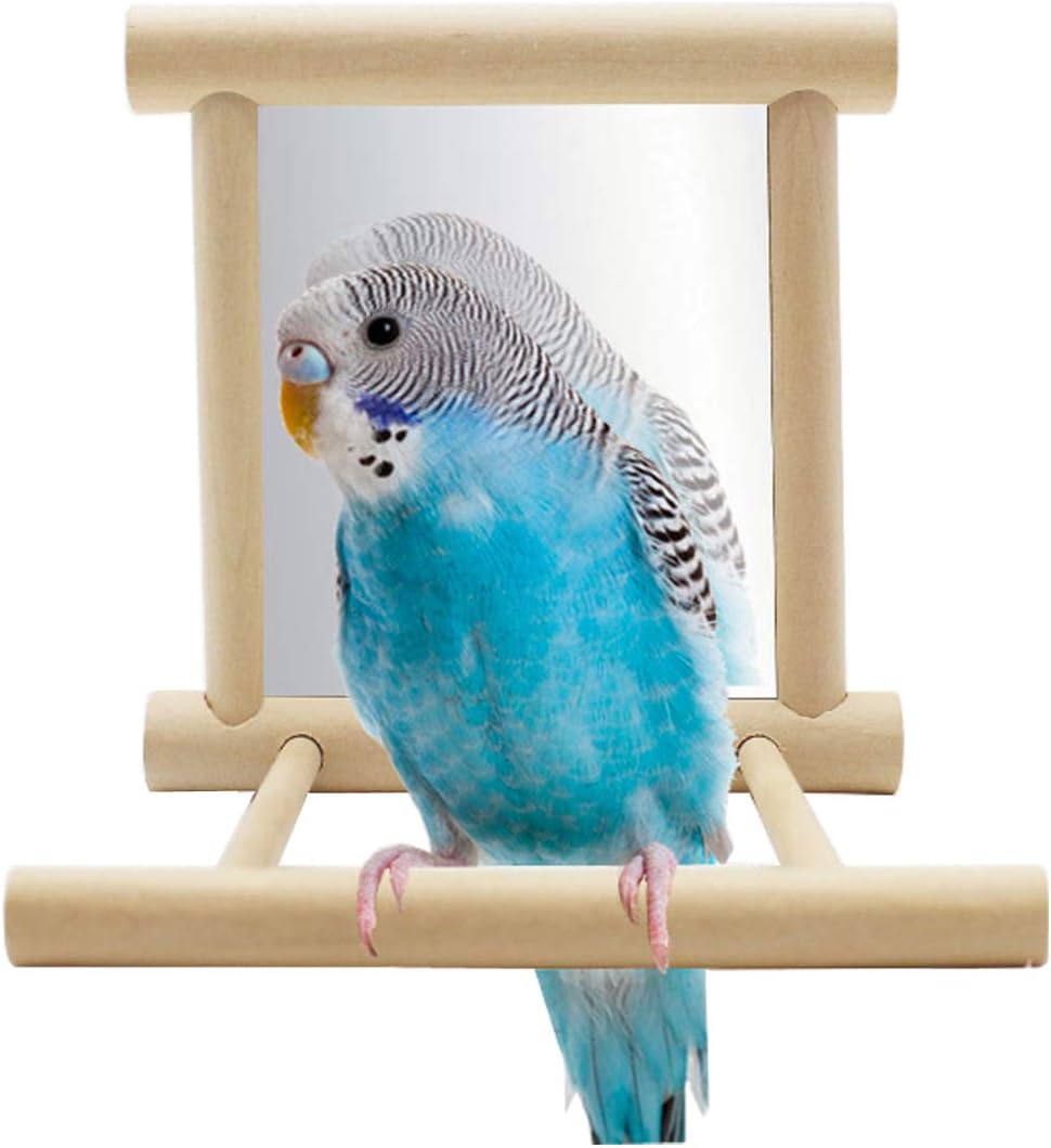 Hypeety Bird Parrot Mirror Toy Swing Hanging with Perch for Parrot Parakeet Budgies Cockatiel