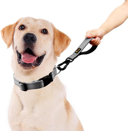 PLUTUS PET Short Dog Leash, Reflective Nylon Padded Handle, Strong Traffic Leash with Carabiner