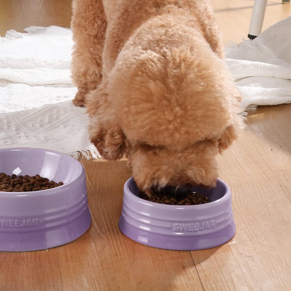 Sweejar Gradient Dog Bowl, Ceramic Dog Food Dish for Large Dogs and Large Cat, Porcelain Pet Bowl