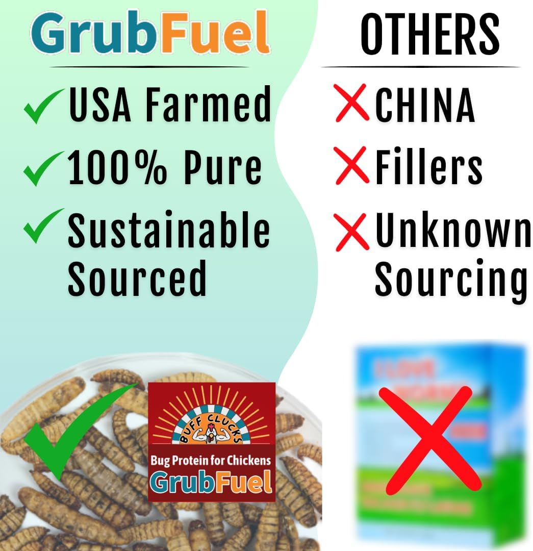 Grub Fuel Black Soldier Fly Larvae for Chickens - Nutrient-Packed BSFL, Sustainably Sourced Snack