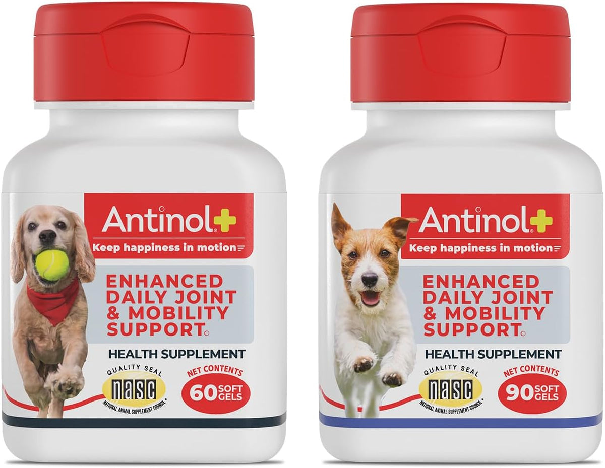 Plus, Mobility, Hip, and Joint Supplement for Dogs, Green-Lipped Mussels and Krill Oil - Dog Joint