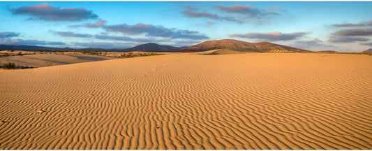 Renaiss 10x5ft Desert Photography Backdrop Golden Ripple Desert Mountain Sand Dunes Blue Sky Gobi
