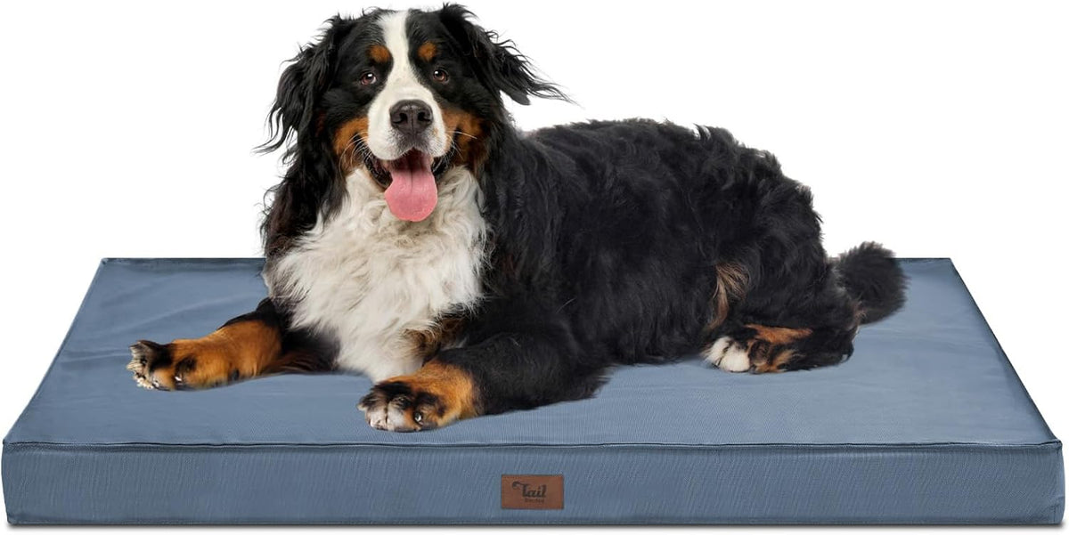Dog Beds for Large Dogs, Orthopedic Dog Bed for Extra Large Dogs, Big Waterproof Pet Bed with