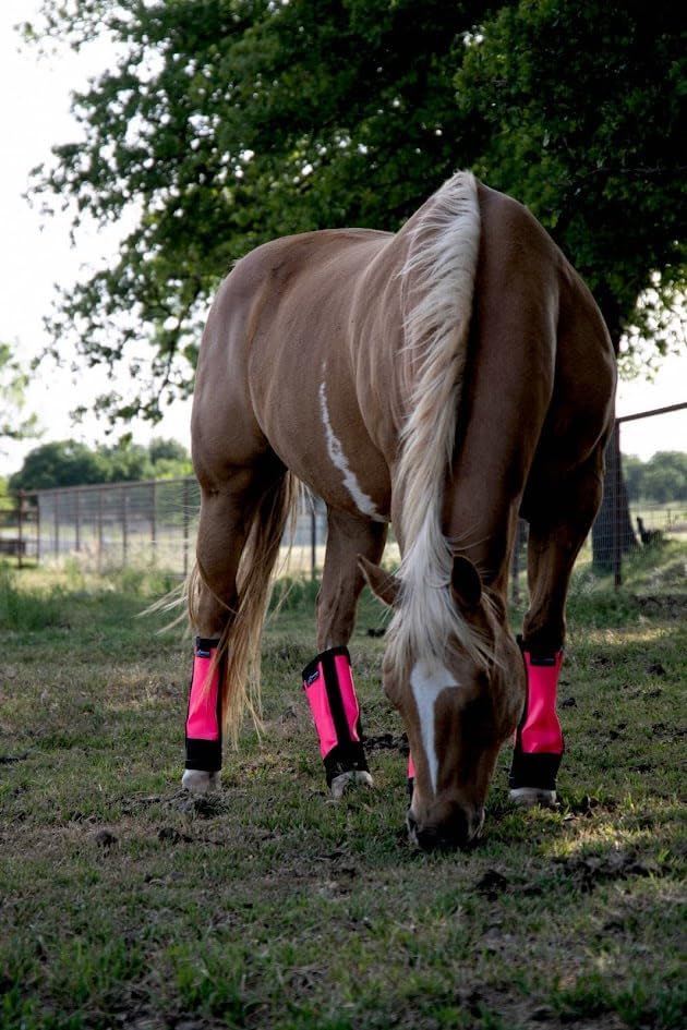 Warrior Fly Boots for Horses - Breathable Mesh Horse Boots for Fly Protection & Leg Comfort - Set