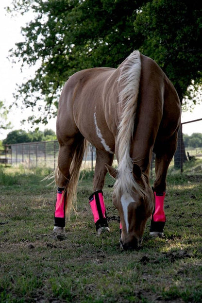 Warrior Fly Boots for Horses - Breathable Mesh Horse Boots for Fly Protection & Leg Comfort - Set