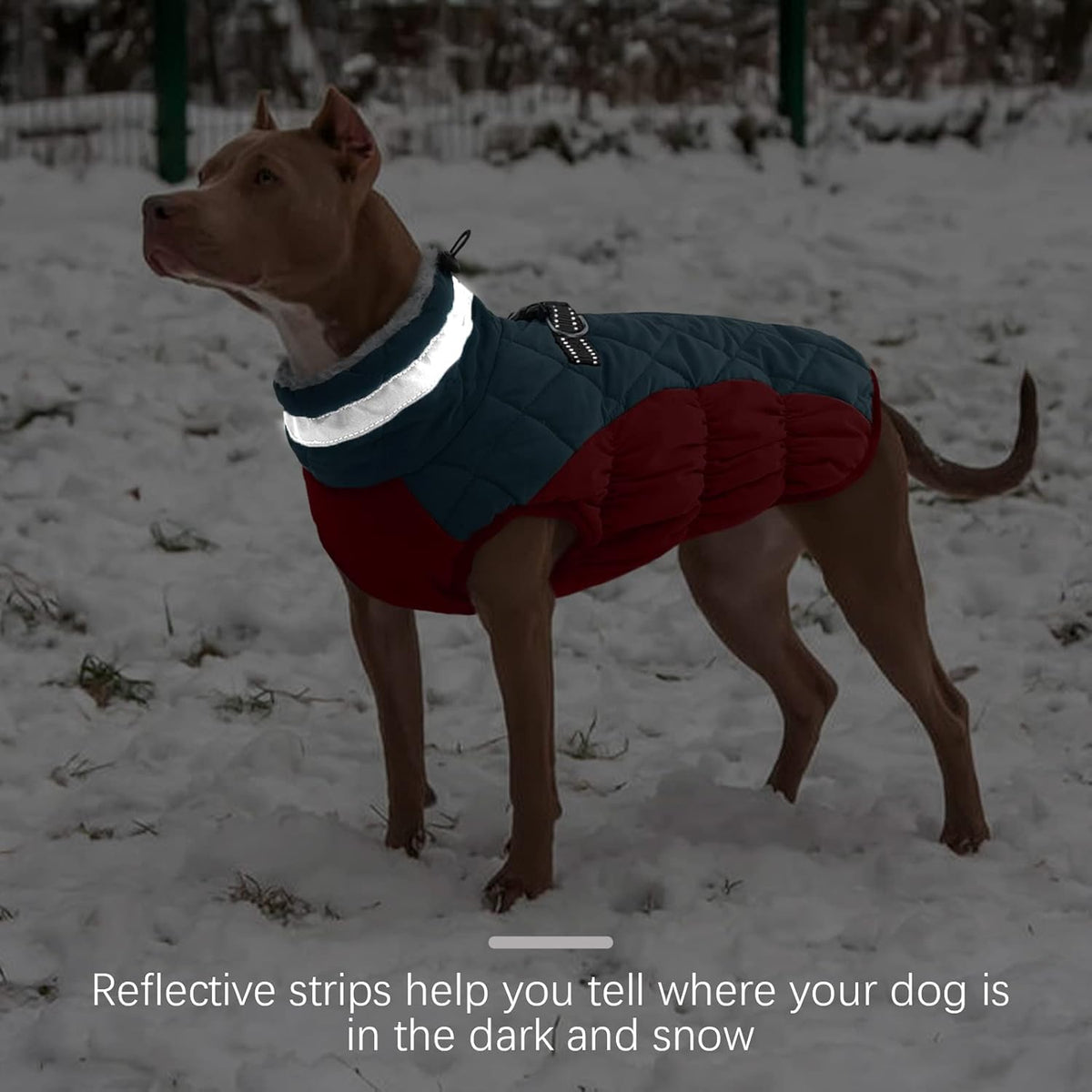 FUAMEY Dog Coat for Medium Dogs,Waterproof Dog Winter Jacket with Harness Built in Puppy Cold