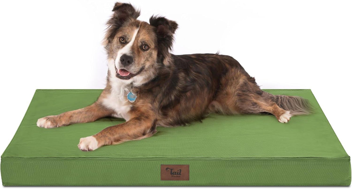 Orthopedic Dog Bed for Large Dogs, Big Waterproof Washable Dog Bed for Large Sized Dogs with Egg