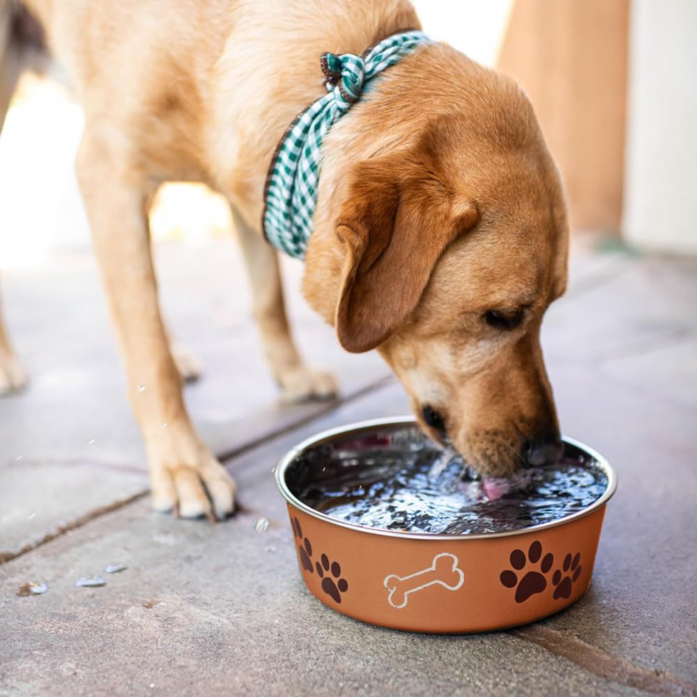 Loving Pets - Bella Bowls - Dog Food Water Bowl No Tip Stainless Steel Pet Bowl No Skid Spill Proof