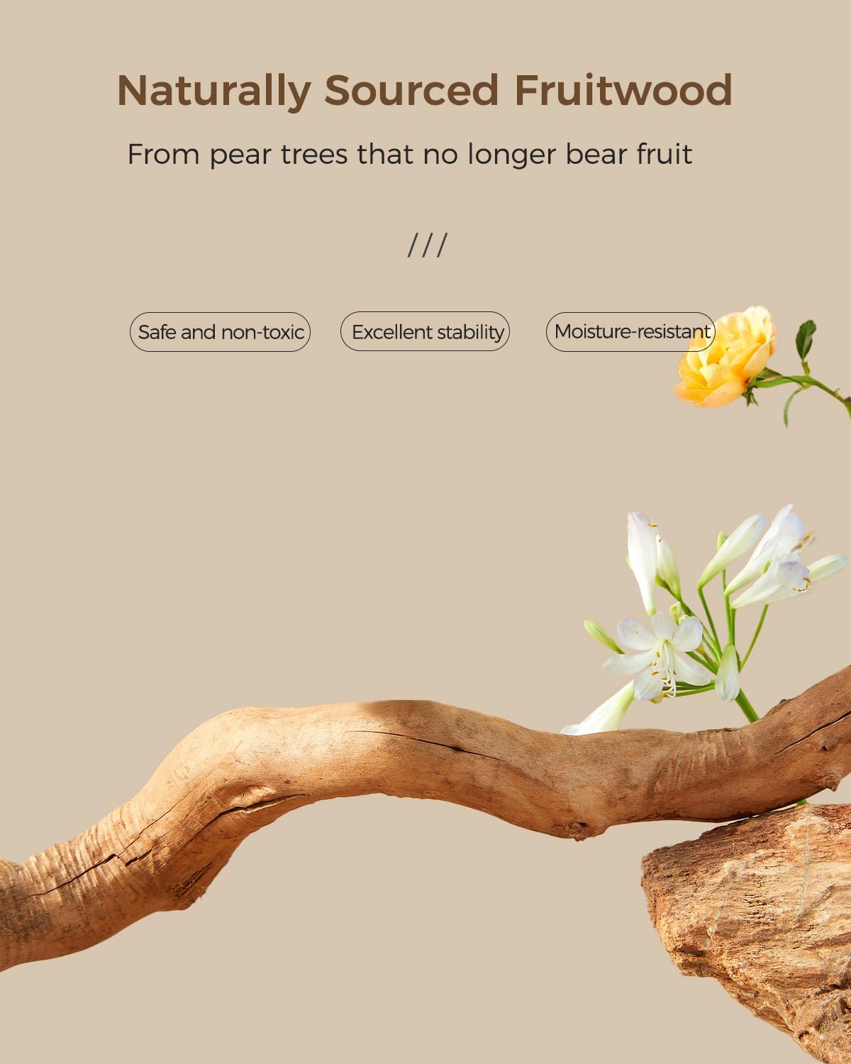 Modern Cat Tree for Large Cats, Wood Cat Tower for Indoor Cats, Real Branch Luxury Cat Furniture