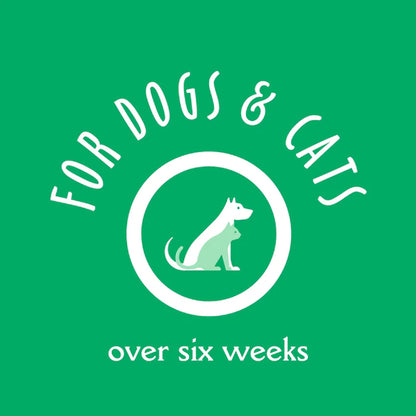 earthbath Oatmeal & Aloe Dog Shampoo. Chosen for real quality, fits naturally into modern pet homes.