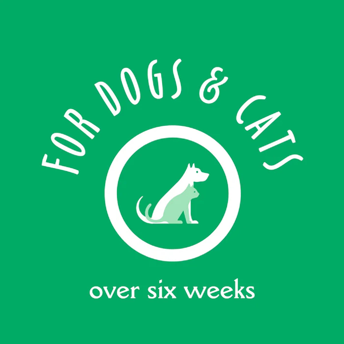 earthbath Hypoallergenic Dog Shampoo. Chosen for real quality, fits naturally into modern pet homes.