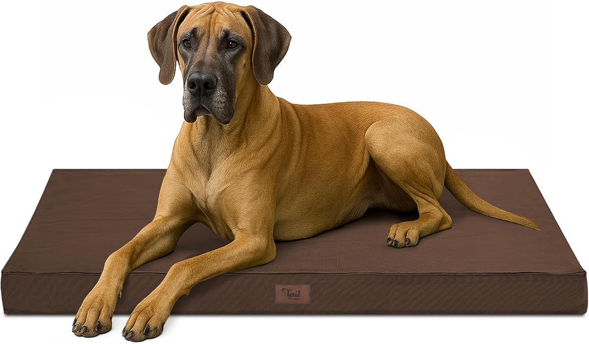 Outdoor Extra Large Dog Bed, Jumbo Waterproof Dog Bed for Large Dogs, Orthopedic Egg Foam Pet Bed