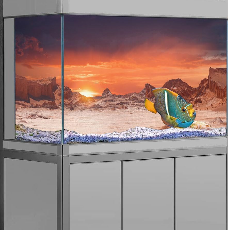 36X20IN Sun and Desert Moon Themed Reptile Habitat on Orange Durable Decorative Background