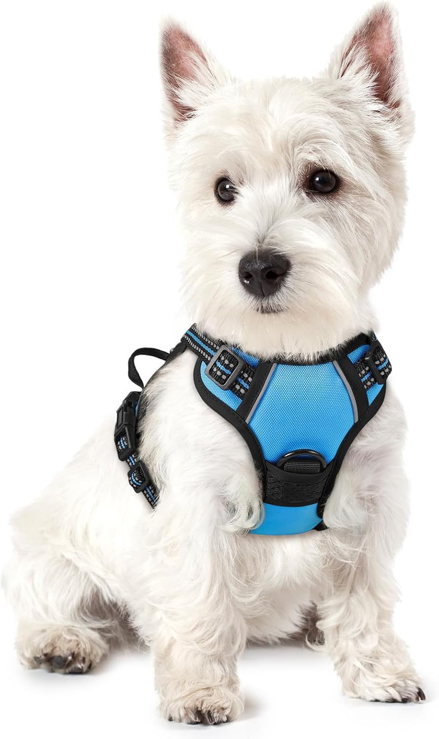 rabbitgoo Dog Harness No Pull with 2 Leash Clips, Adjustable Soft Padded, Reflective Oxford No