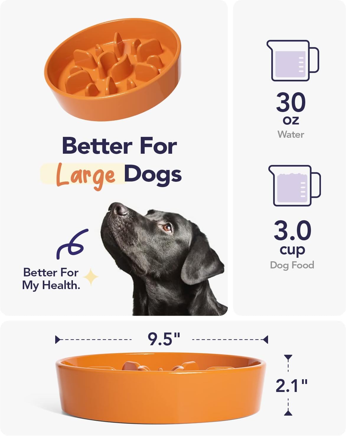 LE TAUCI Slow Feeder Dog Bowls Ceramic,3 Cups Slow Feeding Dog Bowl Medium Large Breed, Pet Bowl