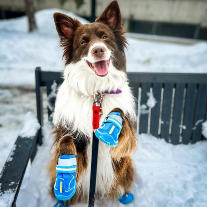 QUMY Dog Shoes for Large Dogs, Medium Dog Boots & Paw Protectors for Winter Snowy Day, Summer Hot
