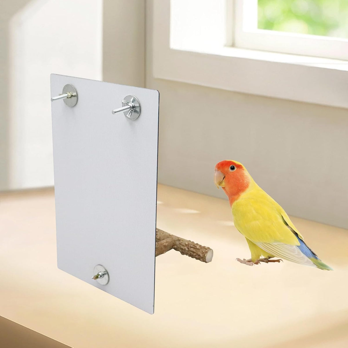 Bird Mirror Toy with Perch Stand, Parrot Parakeet Mirror with Bird Swing Bell Toys, Bird Cage