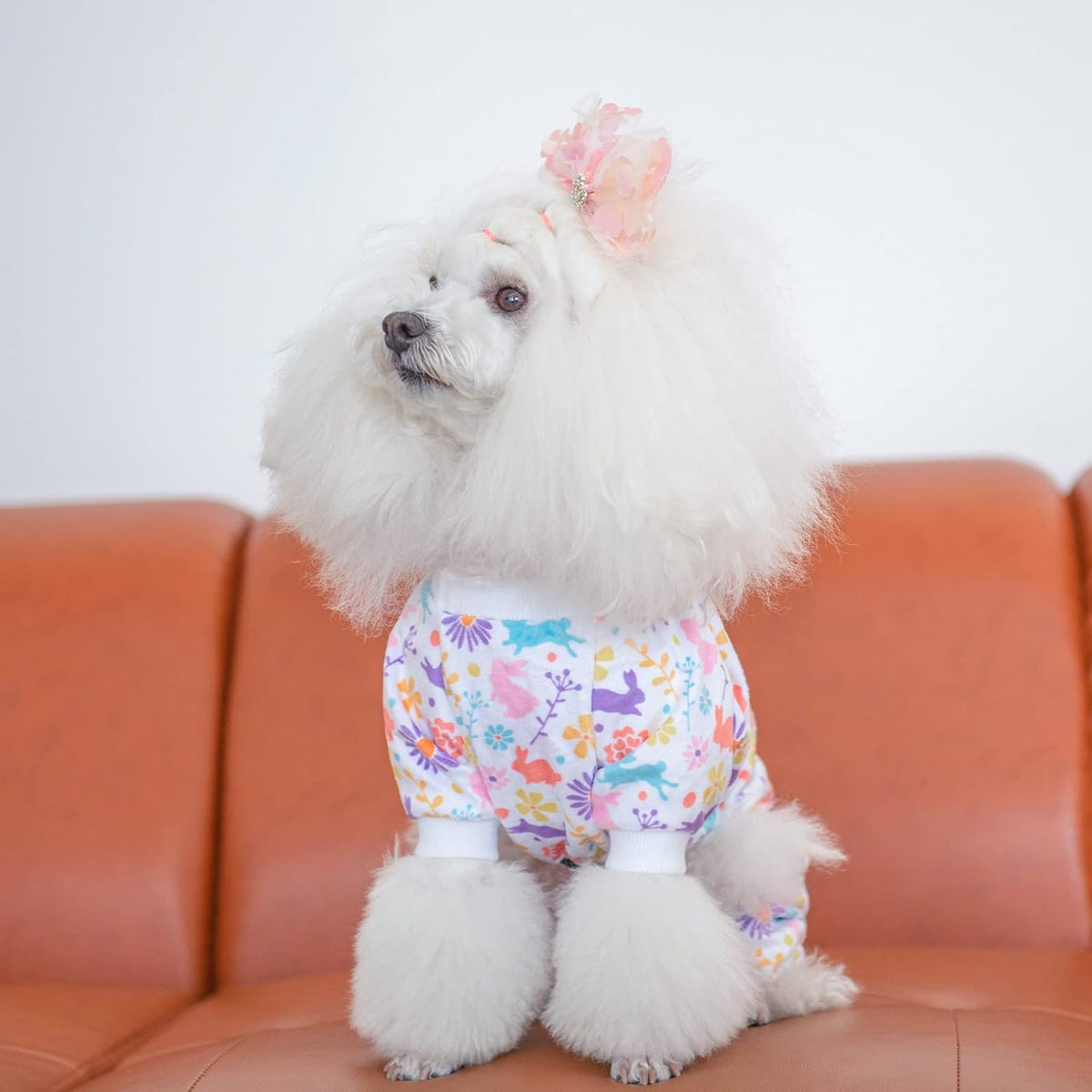 CuteBone Small Dogs Outfit Soft Puppy Onesies Pjs Dog Easter Rabbit Pajamas Pet Coat Cat Apparel