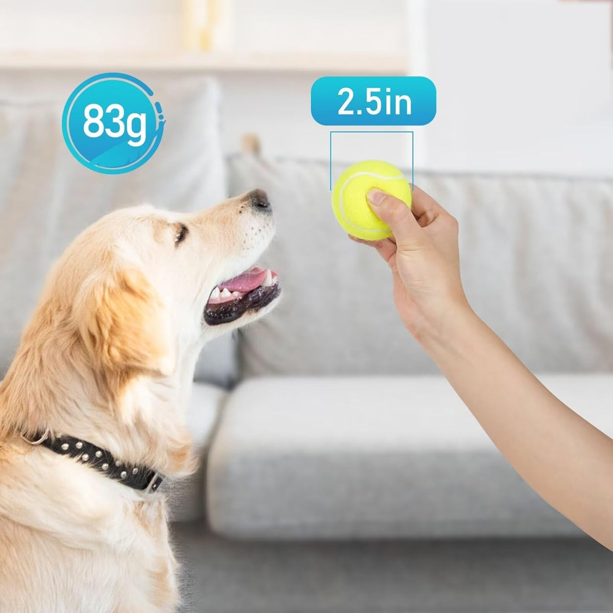Prime Pets Tennis Balls for Dogs, 2.5 Inch Thick Bouncy Dog Ball, Interactive Dog Toys for Indoor