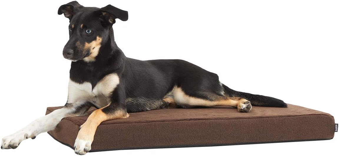 Barkbox Orthopedic Dog Bed with Memory Foam, Premium Comfort for Dogs and Puppies, Dog Bed for