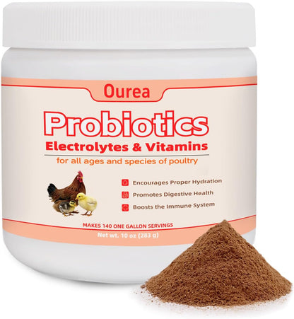 Chicken Electrolyte, Vitamin & Probiotic Supplement - Support Hydration Digestion Immunity Egg