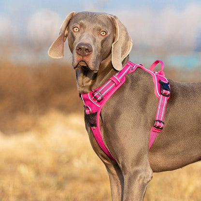 TRUE LOVE Dog Harness No Pull Nylon Reflective Pet Harness Adjustable Comfortable Control Step-in