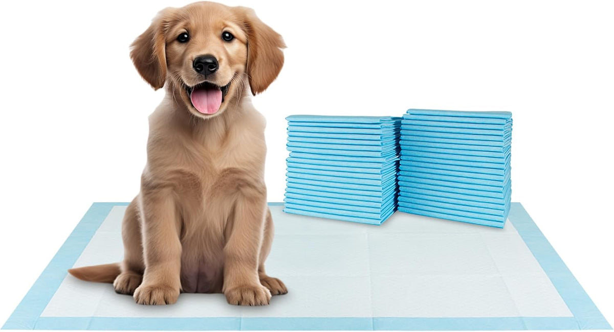BV XXL Puppy Pads 40 Count 30" x 36" - Leak-Proof Pee Pads for Dogs with 6-Layer Design, Rapid Dry