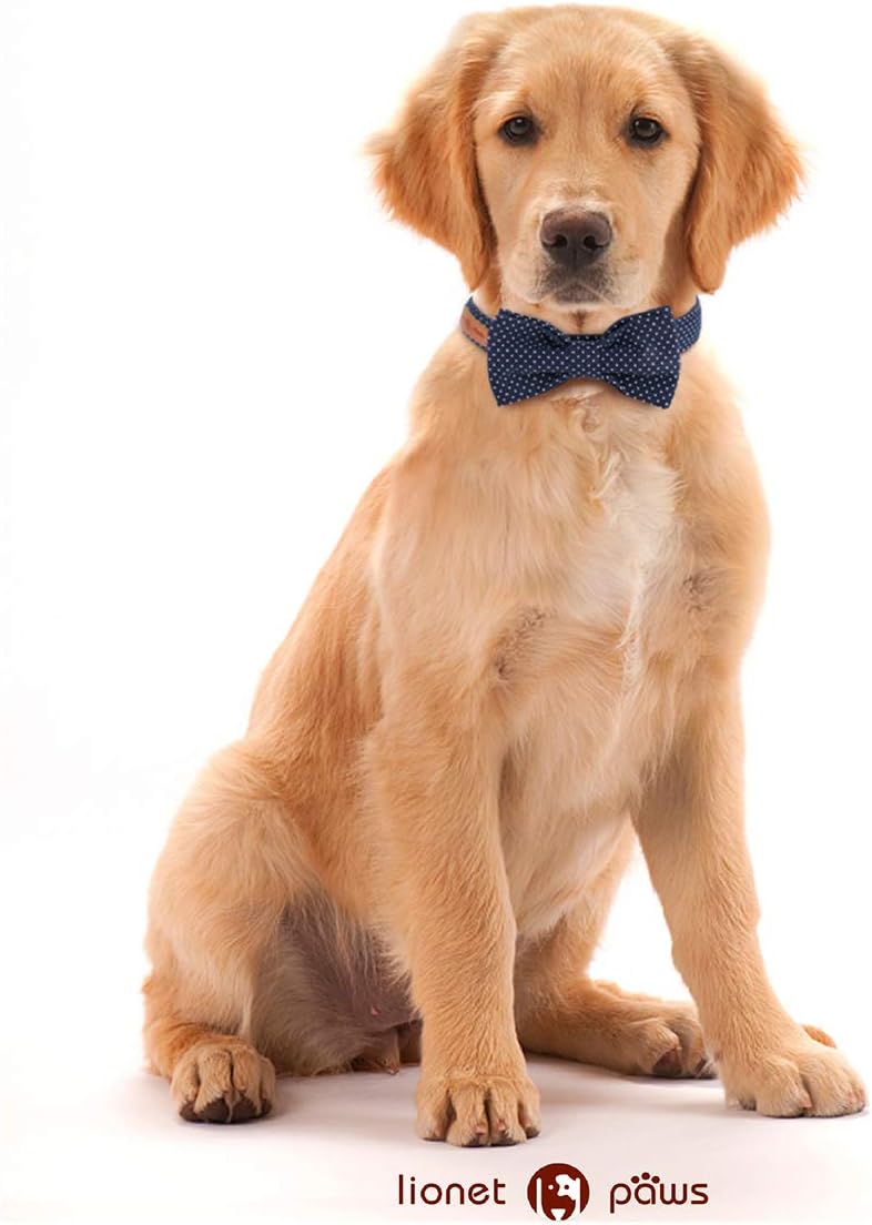 Lionet Paws Boy Dog Collar with Bowtie, Comfortable Adjustable Cute Navy Blue Bow Tie Collar for