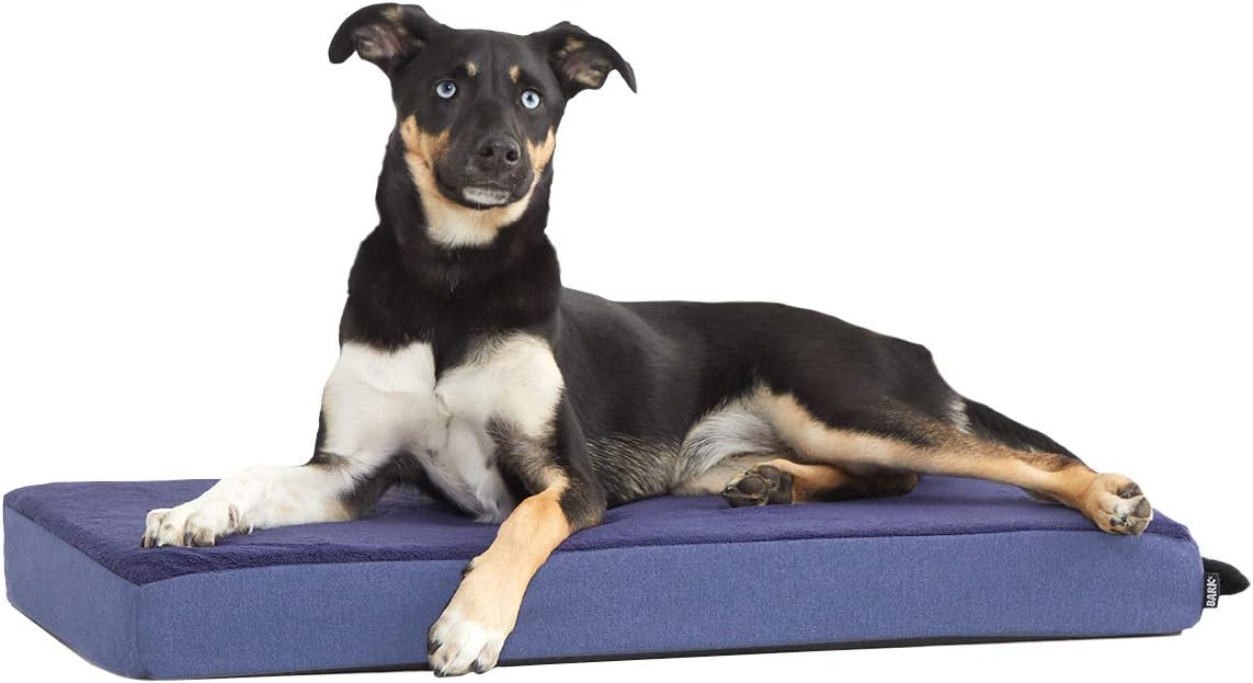 Barkbox Orthopedic Dog Bed with Memory Foam, Premium Comfort for Dogs and Puppies, Dog Bed for