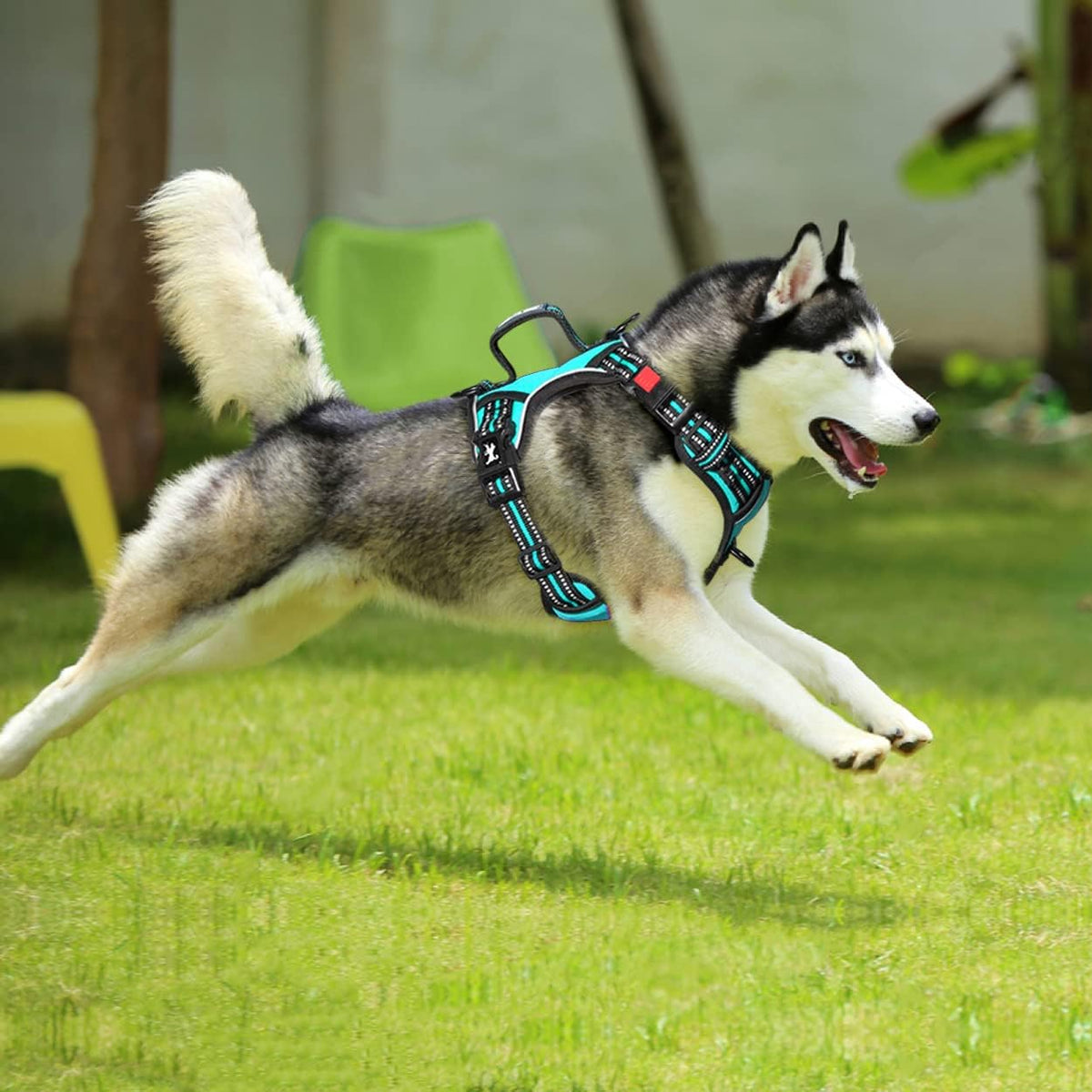 PoyPet No Pull Dog Harness, No Choke Front Clip Reflective Dog Vest with Soft Padded Vertical