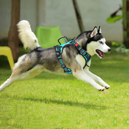 PoyPet No Pull Dog Harness, No Choke Front Clip Reflective Dog Vest with Soft Padded Vertical