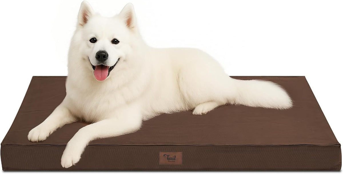 Outdoor Large Dog Bed, Waterproof Dog Bed for Large Dogs, Egg Crate Foam Pet Bed with Removable
