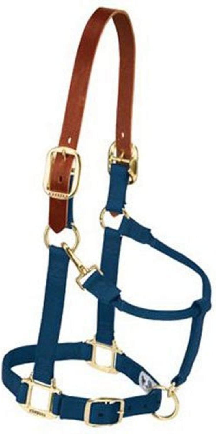 Weaver Equine Breakaway Horse Halter, Supple Leather Crown, Adjustable Chin & Throat Snap Halters