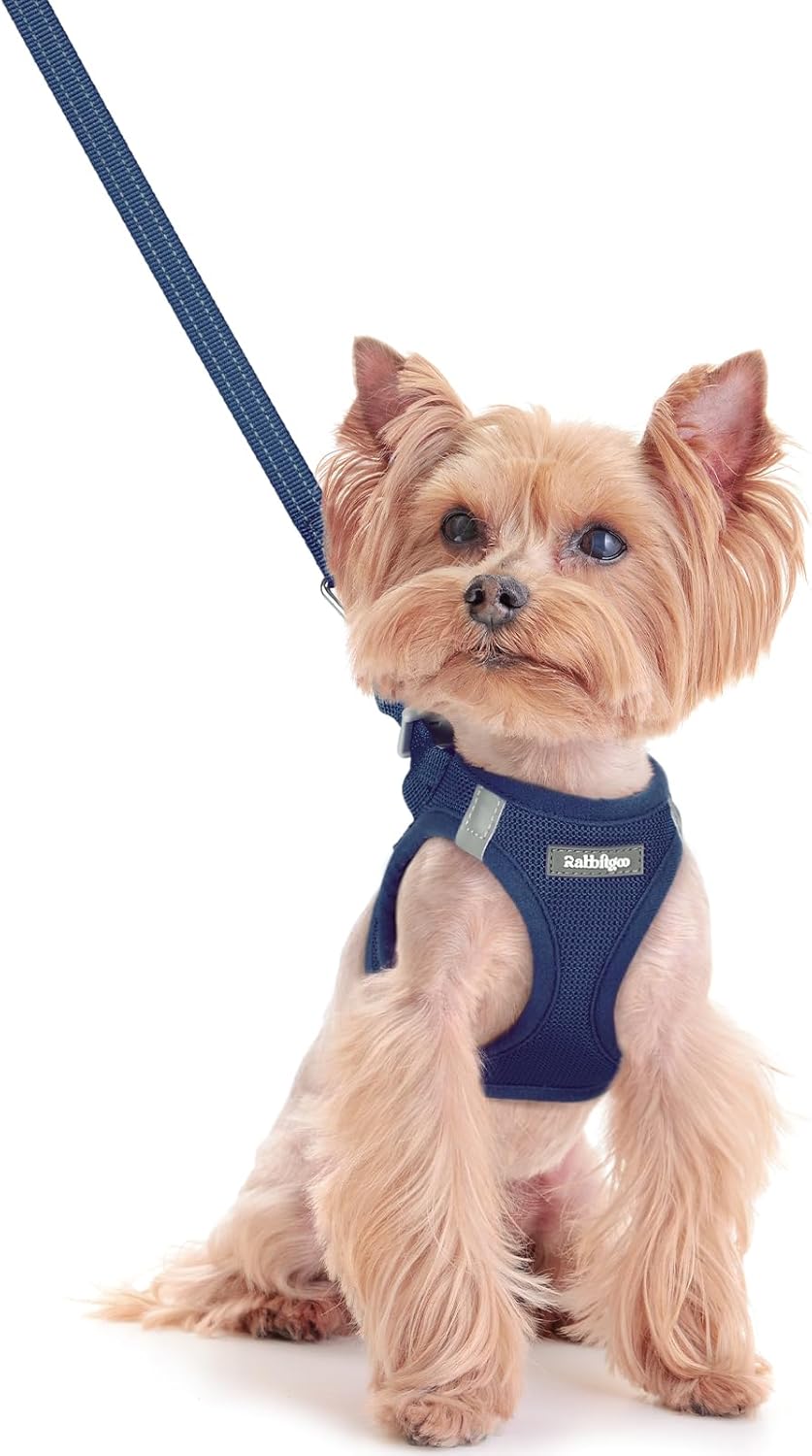 rabbitgoo Dog Harness Small Sized and Leash Set, Step in Soft Light Puppy Vest, Breathable Mesh Pet
