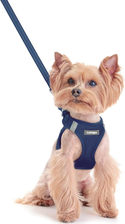 rabbitgoo Dog Harness Small Sized and Leash Set, Step in Soft Light Puppy Vest, Breathable Mesh Pet