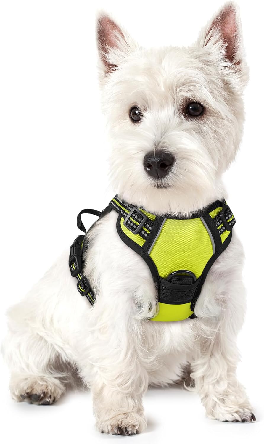rabbitgoo Dog Harness No Pull with 2 Leash Clips, Adjustable Soft Padded, Reflective Oxford No