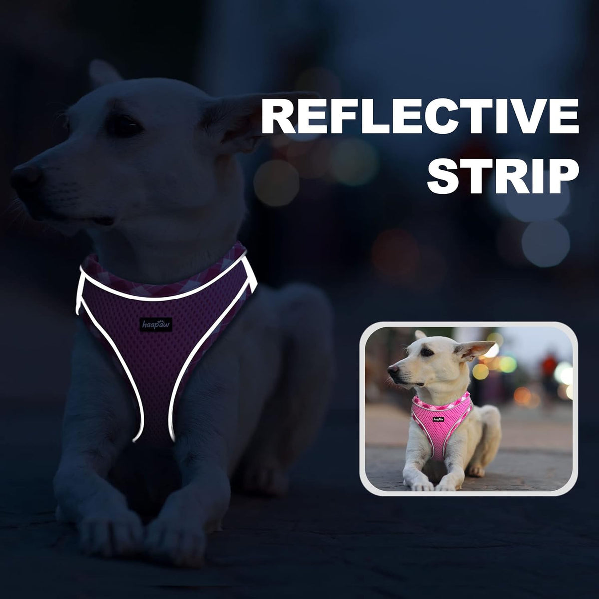 haapaw Dog Harness with Leash Set, No Pull Adjustable Reflective Step-in Puppy Harness with