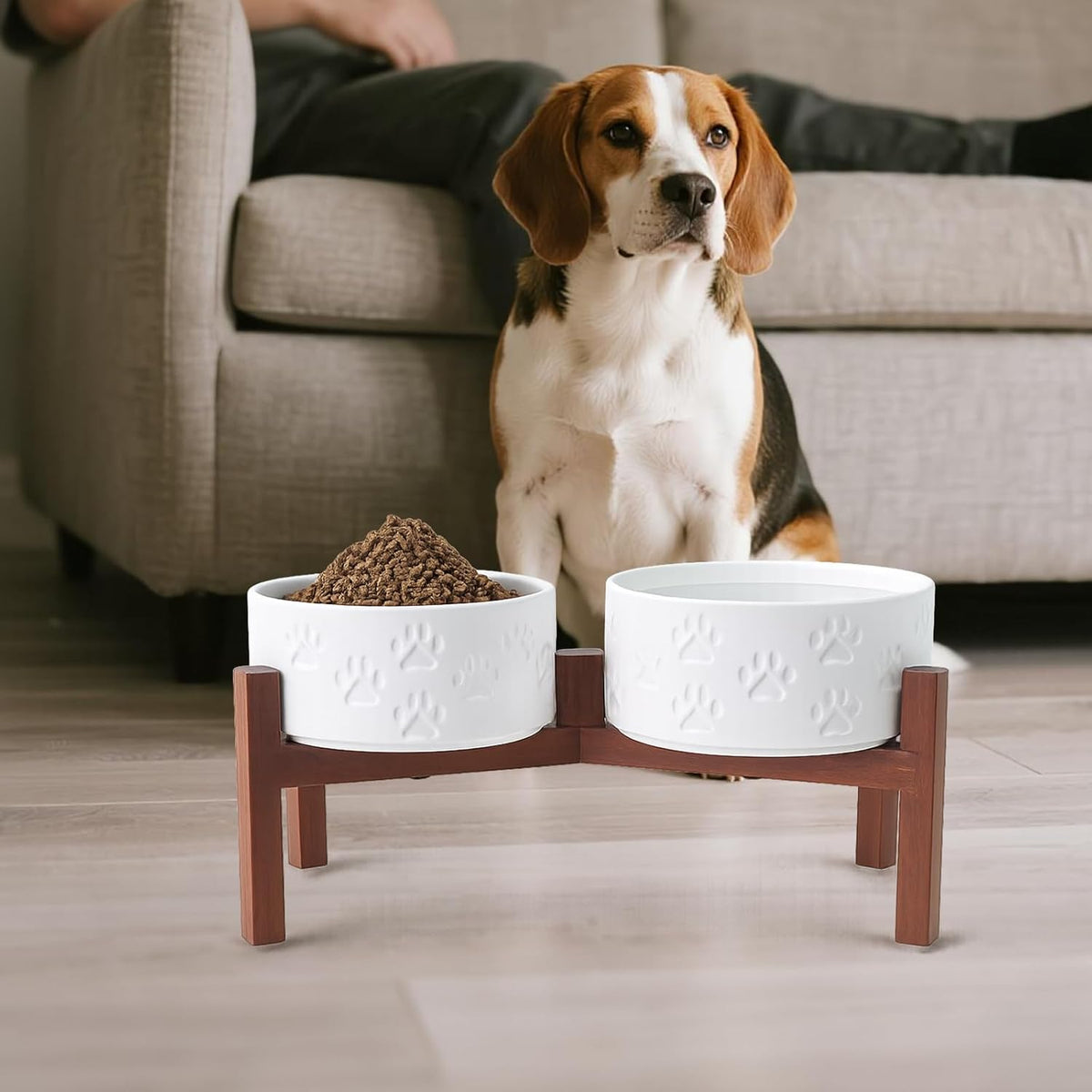 SPUNKYJUNKY Ceramic Elevated Dog Bowl Set with Acacia Wood Stand for Food and Water for Medium Dogs