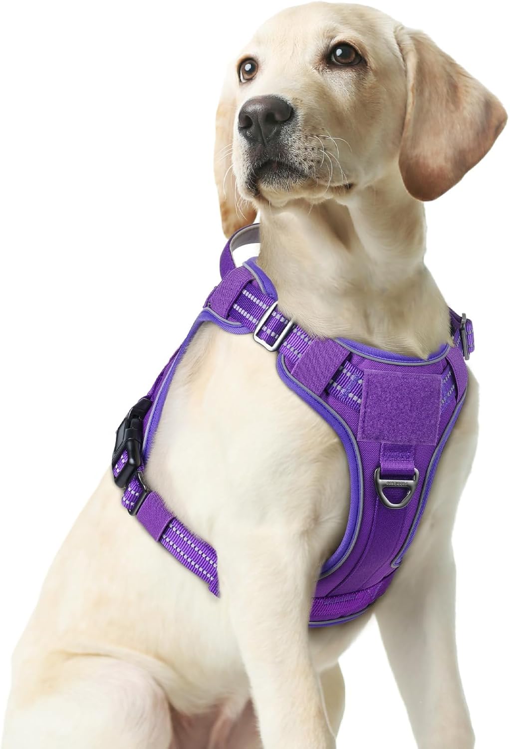 rabbitgoo Dog Harness Medium Sized No Pull, Tactical Service Pet Vest with Molle and Control
