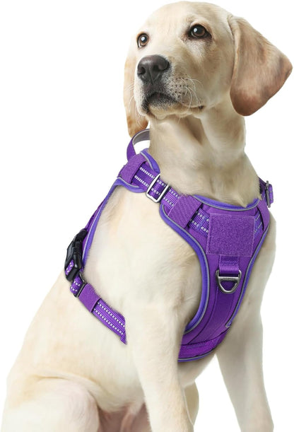 rabbitgoo Dog Harness Medium Sized No Pull, Tactical Service Pet Vest with Molle and Control